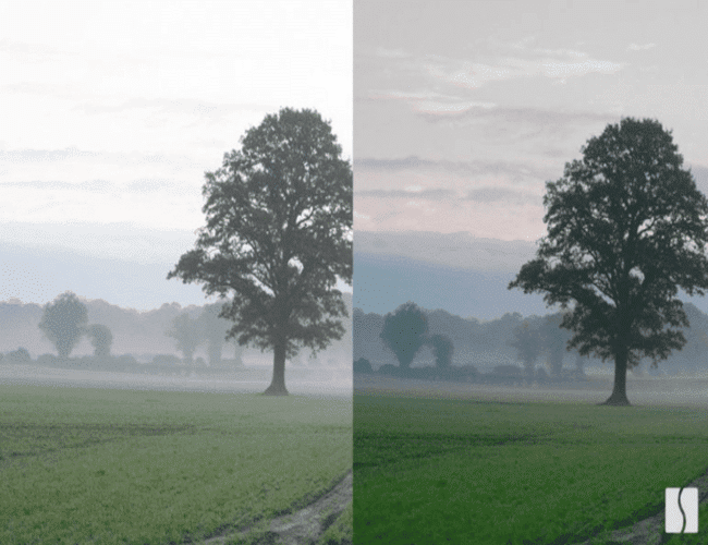 avant/après spectral edge